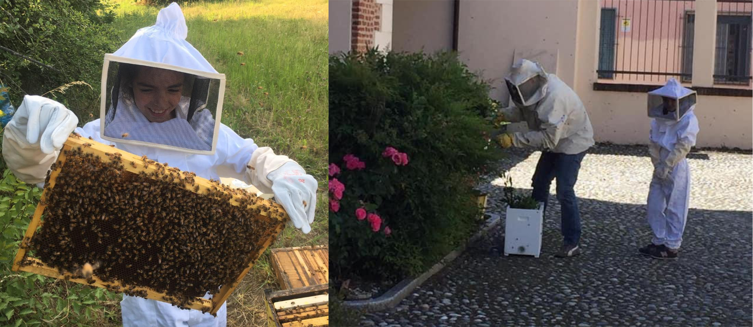 alice, simone e il miele di alice